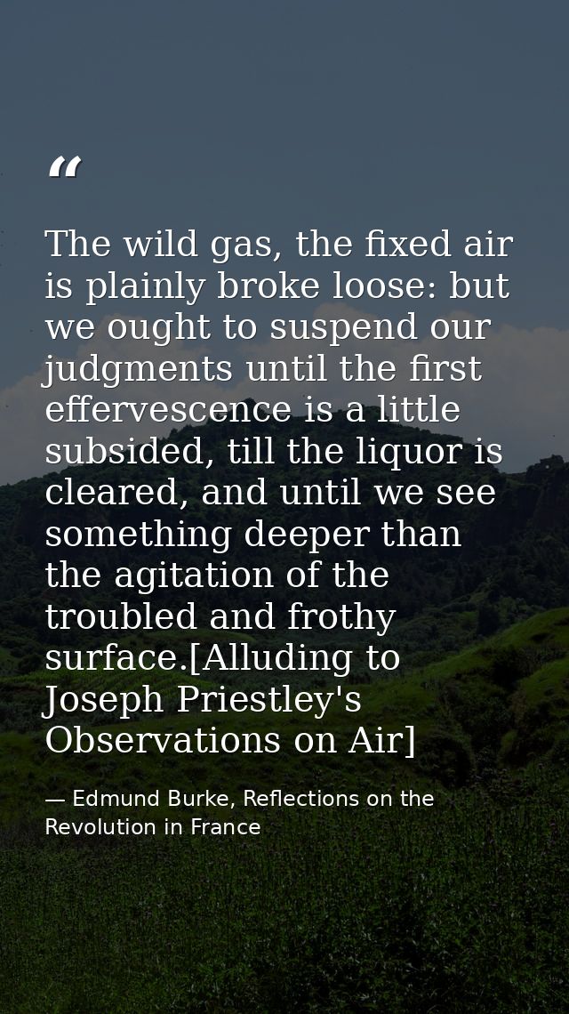 The wild gas, the fixed air is plainly broke loose: but we ought to suspend our judgments until the first effervescence  — Edmund Burke, Reflections on the Revolution in France