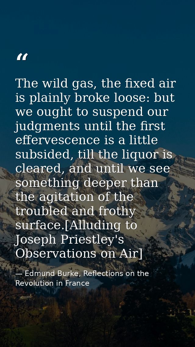 The wild gas, the fixed air is plainly broke loose: but we ought to suspend our judgments until the first effervescence  — Edmund Burke, Reflections on the Revolution in France