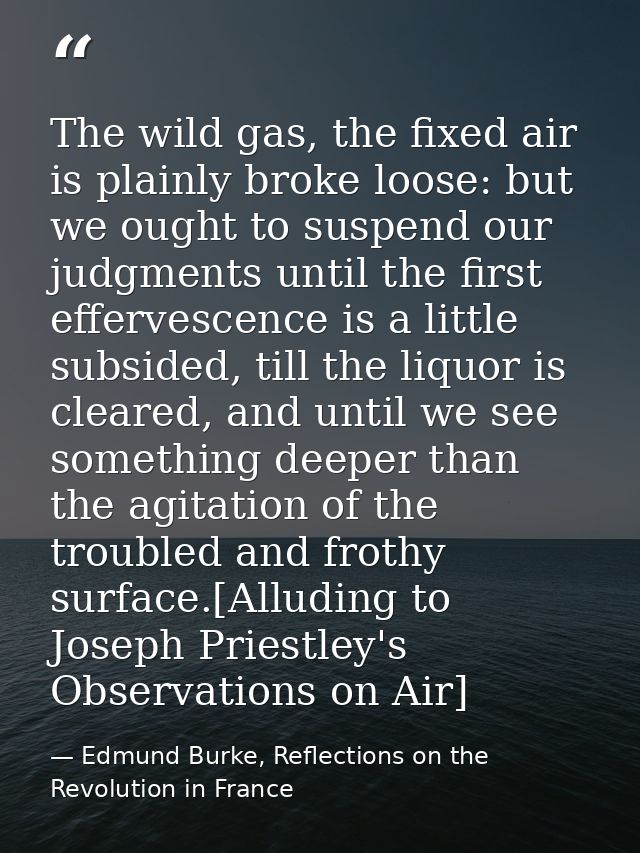The wild gas, the fixed air is plainly broke loose: but we ought to suspend our judgments until the first effervescence  — Edmund Burke, Reflections on the Revolution in France