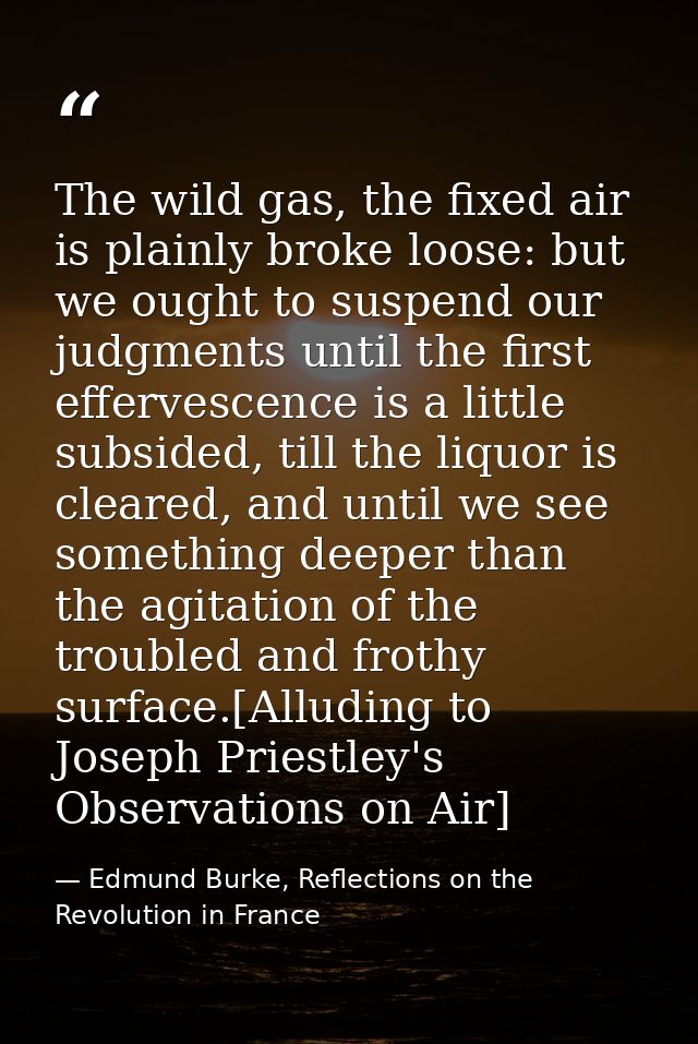 The wild gas, the fixed air is plainly broke loose: but we ought to suspend our judgments until the first effervescence  — Edmund Burke, Reflections on the Revolution in France