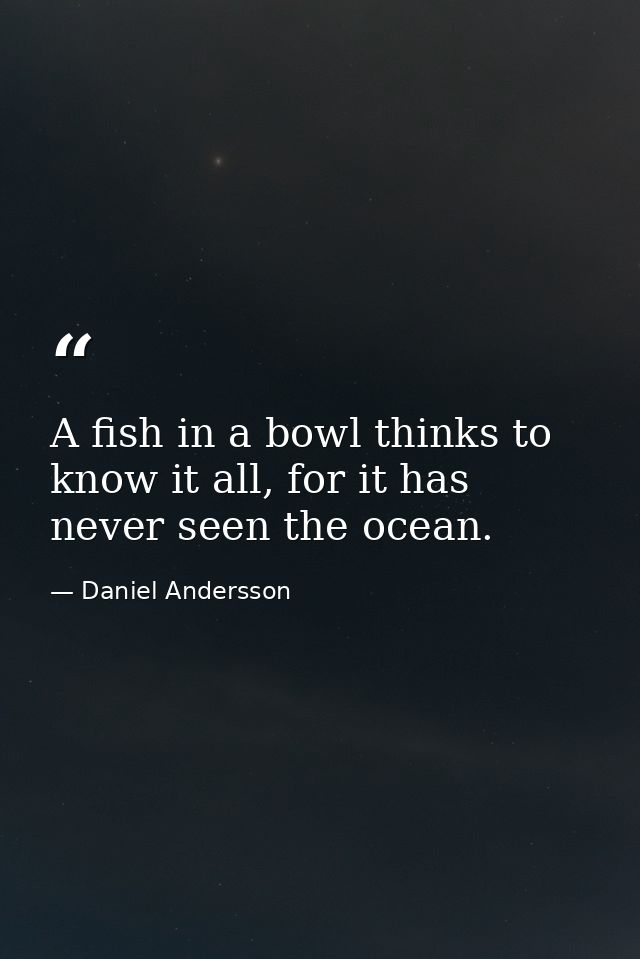 A fish in a bowl thinks to know it all, for it has never seen the ocean. — Daniel Andersson