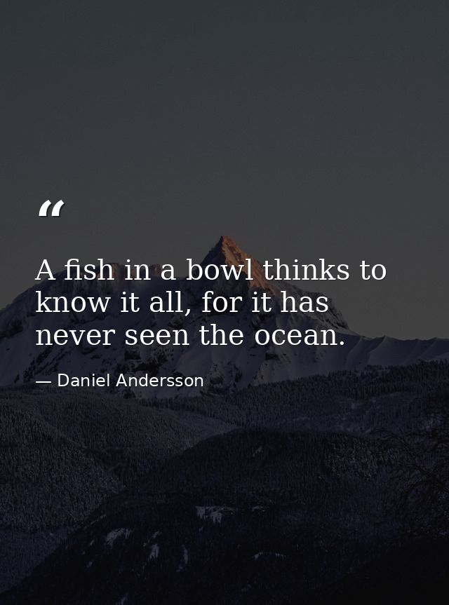 A fish in a bowl thinks to know it all, for it has never seen the ocean. — Daniel Andersson