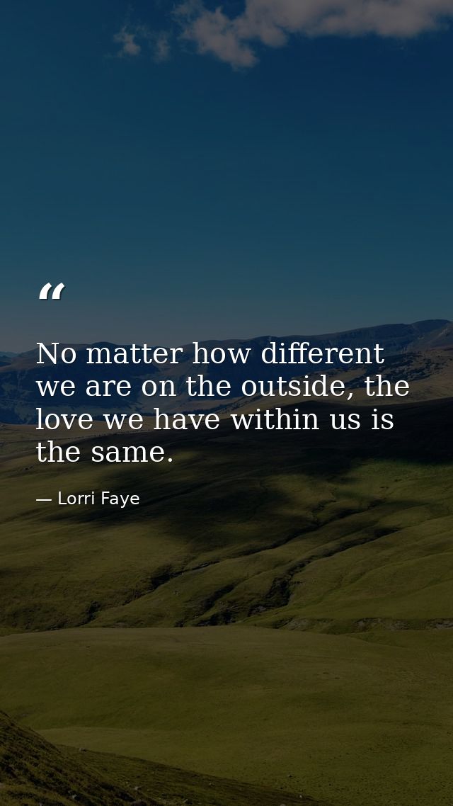 No matter how different we are on the outside, the love we have within us is the same. — Lorri Faye