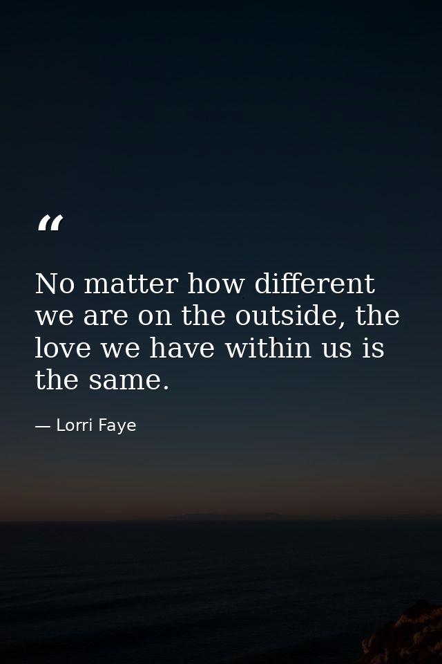 No matter how different we are on the outside, the love we have within us is the same. — Lorri Faye