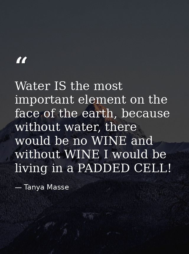 Water IS the most important element on the face of the earth, because without water, there would be no WINE and without  — Tanya Masse