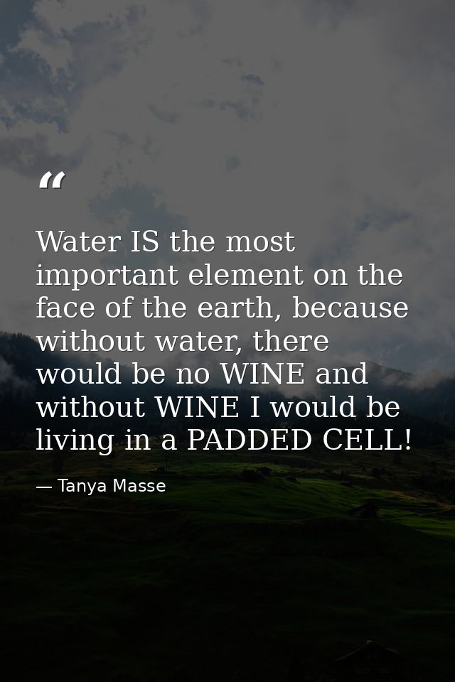 Water IS the most important element on the face of the earth, because without water, there would be no WINE and without  — Tanya Masse