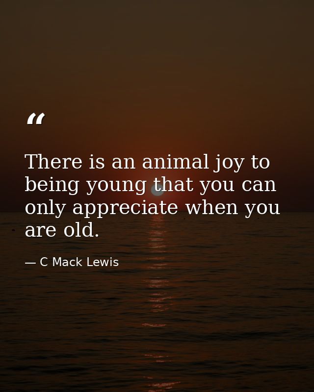 There is an animal joy to being young that you can only appreciate when you are old. — C Mack Lewis