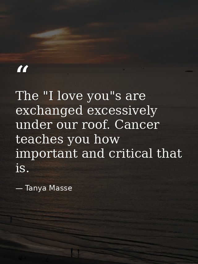 The "I love you"s are exchanged excessively under our roof. Cancer teaches you how important and critical that is. — Tanya Masse