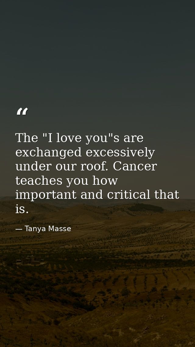 The "I love you"s are exchanged excessively under our roof. Cancer teaches you how important and critical that is. — Tanya Masse