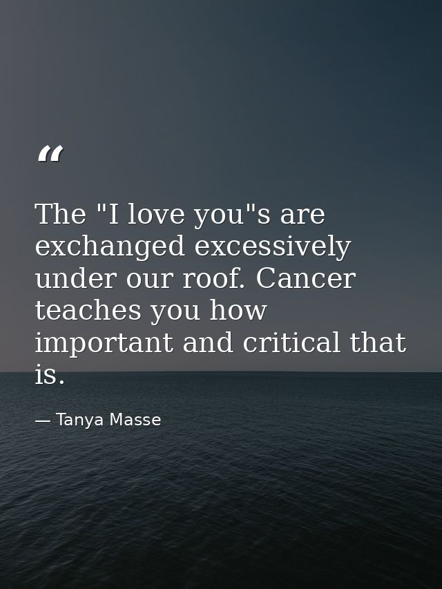 The "I love you"s are exchanged excessively under our roof. Cancer teaches you how important and critical that is. — Tanya Masse