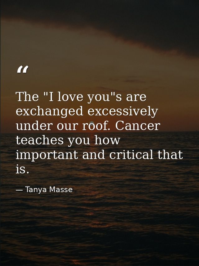 The "I love you"s are exchanged excessively under our roof. Cancer teaches you how important and critical that is. — Tanya Masse
