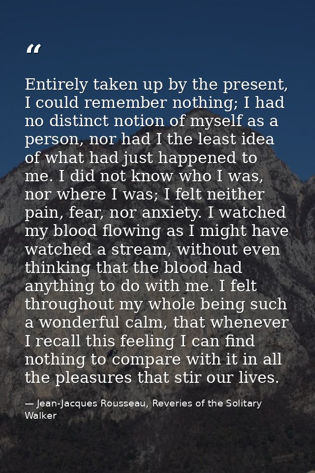 Entirely taken up by the present, I could remember nothing; I had no distinct notion of myself as a person, nor had I th — Jean-Jacques Rousseau, Reveries of the Solitary Walker