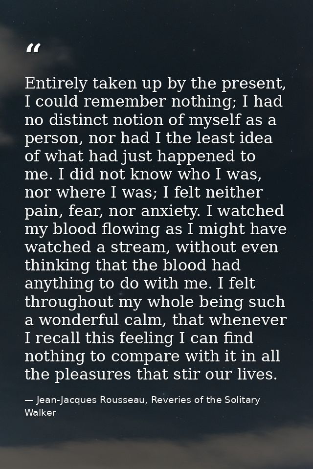 Entirely taken up by the present, I could remember nothing; I had no distinct notion of myself as a person, nor had I th — Jean-Jacques Rousseau, Reveries of the Solitary Walker