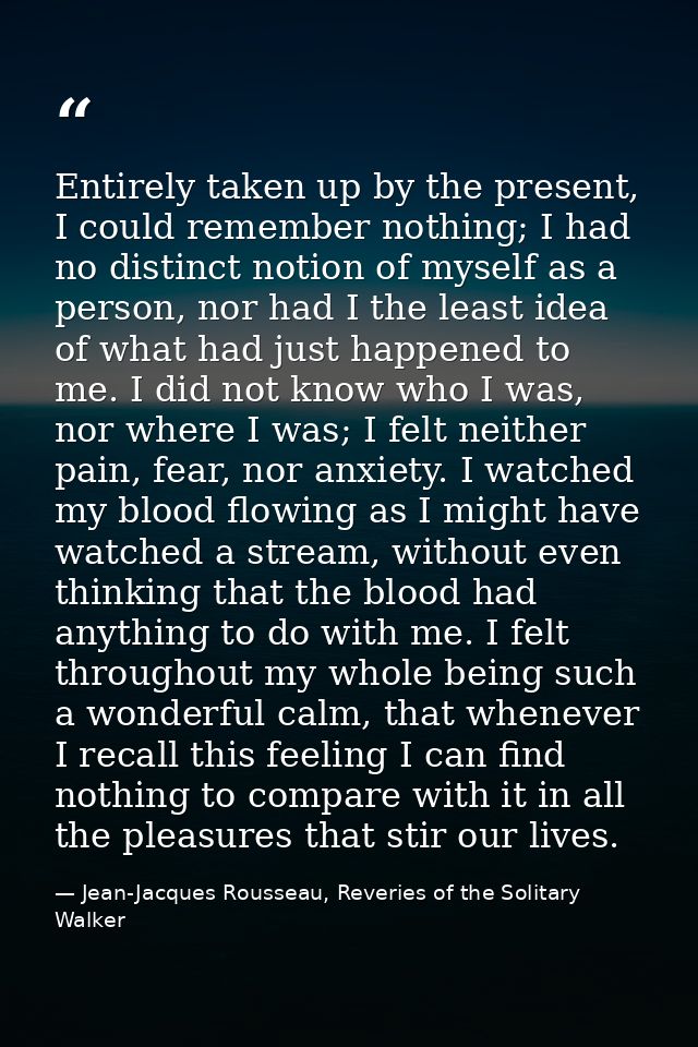 Entirely taken up by the present, I could remember nothing; I had no distinct notion of myself as a person, nor had I th — Jean-Jacques Rousseau, Reveries of the Solitary Walker