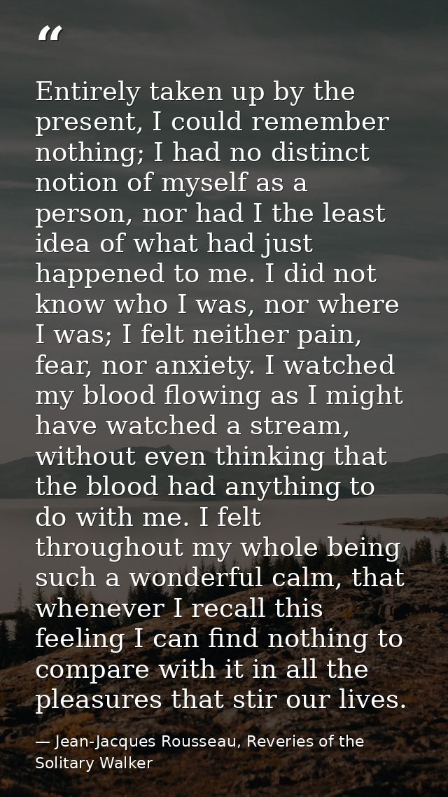 Entirely taken up by the present, I could remember nothing; I had no distinct notion of myself as a person, nor had I th — Jean-Jacques Rousseau, Reveries of the Solitary Walker