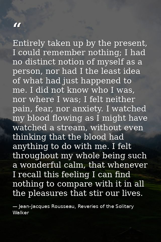 Entirely taken up by the present, I could remember nothing; I had no distinct notion of myself as a person, nor had I th — Jean-Jacques Rousseau, Reveries of the Solitary Walker