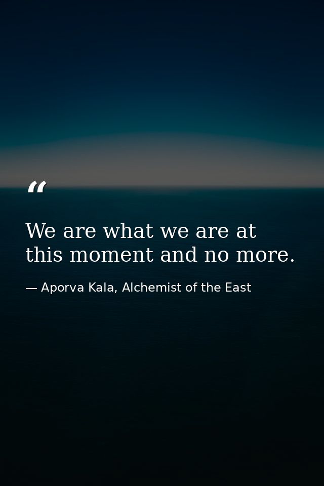 We are what we are at this moment and no more. — Aporva Kala, Alchemist of the East