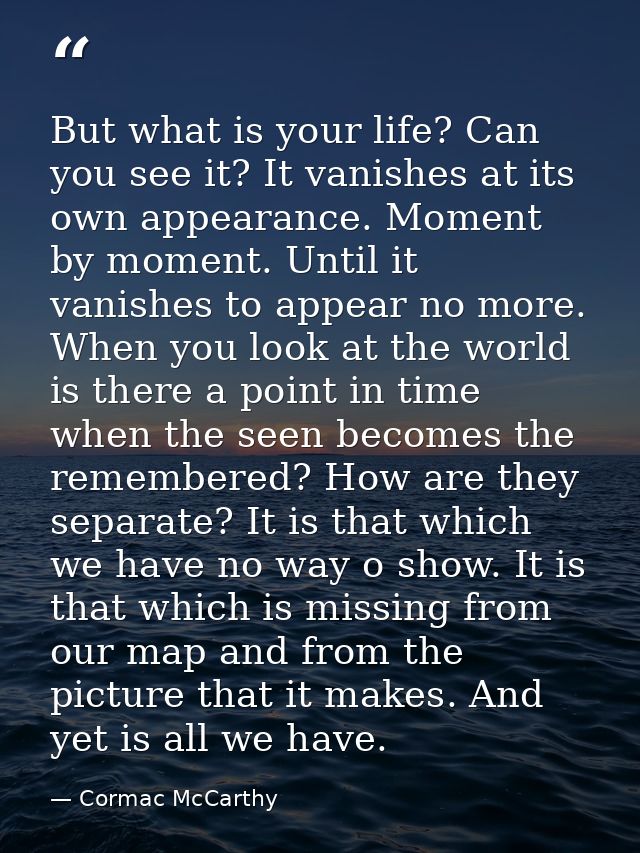 But what is your life? Can you see it? It vanishes at its own appearance. Moment by moment. Until it vanishes to appear  — Cormac McCarthy