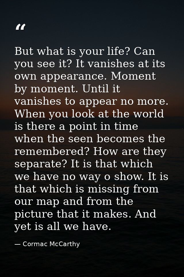 But what is your life? Can you see it? It vanishes at its own appearance. Moment by moment. Until it vanishes to appear  — Cormac McCarthy