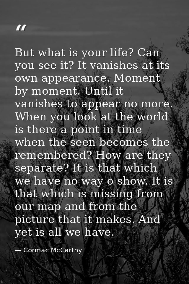 But what is your life? Can you see it? It vanishes at its own appearance. Moment by moment. Until it vanishes to appear  — Cormac McCarthy