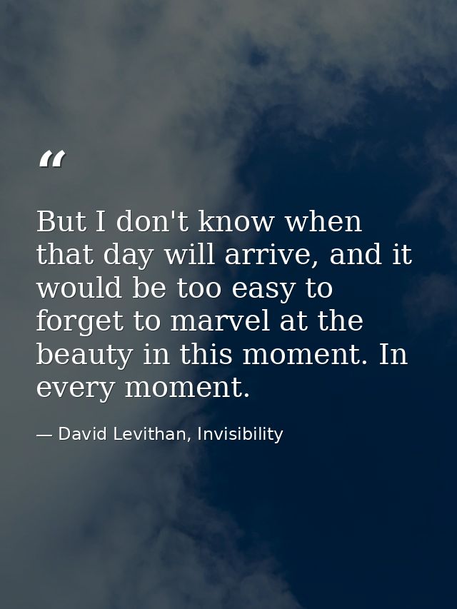 But I don't know when that day will arrive, and it would be too easy to forget to marvel at the beauty in this moment. I — David Levithan, Invisibility