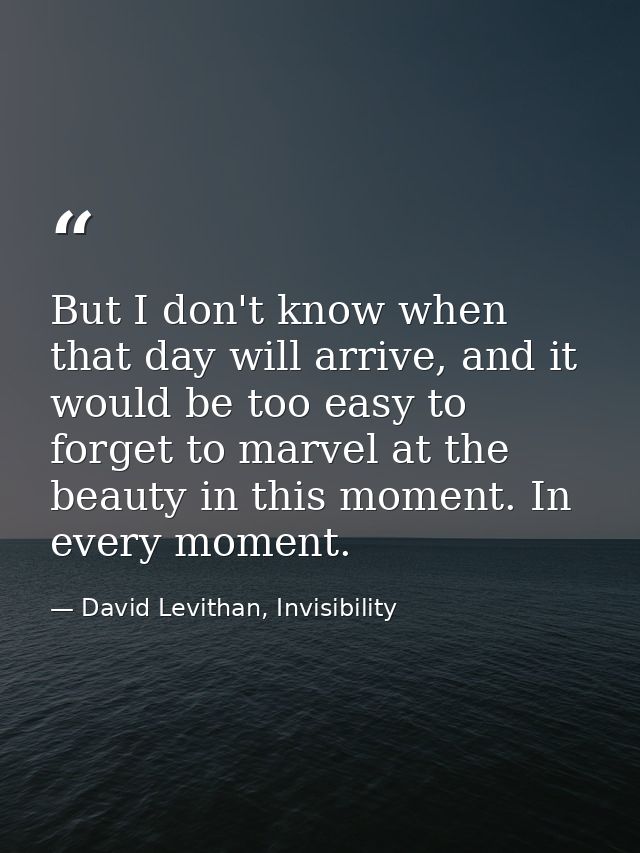 But I don't know when that day will arrive, and it would be too easy to forget to marvel at the beauty in this moment. I — David Levithan, Invisibility
