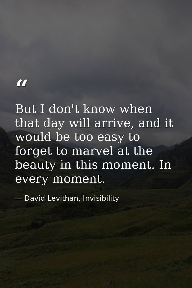 But I don't know when that day will arrive, and it would be too easy to forget to marvel at the beauty in this moment. I — David Levithan, Invisibility
