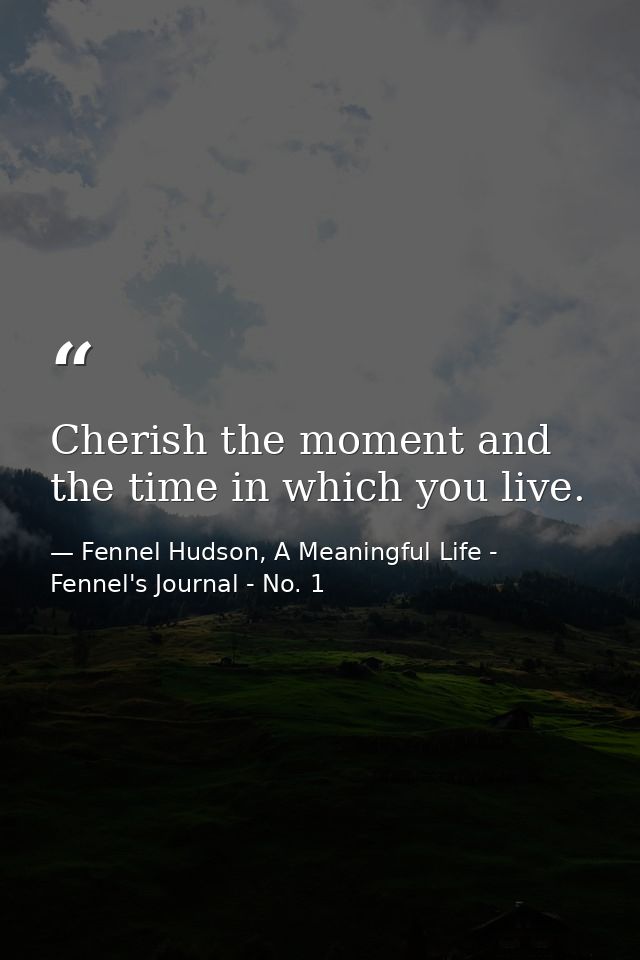 Cherish the moment and the time in which you live. — Fennel Hudson, A Meaningful Life - Fennel's Journal - No. 1