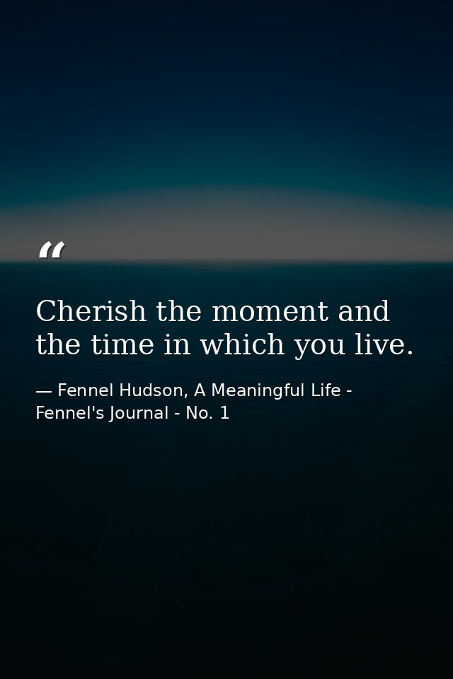 Cherish the moment and the time in which you live. — Fennel Hudson, A Meaningful Life - Fennel's Journal - No. 1