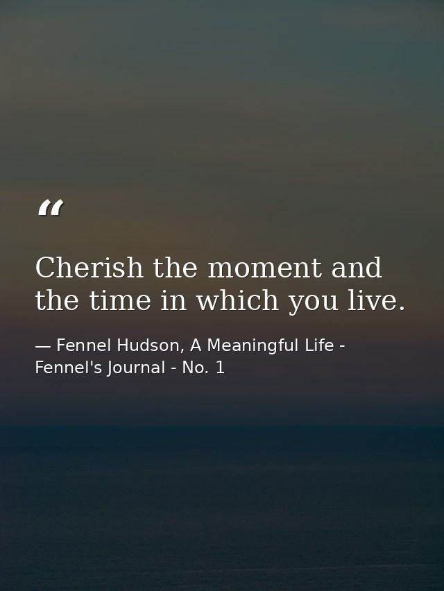 Cherish the moment and the time in which you live. — Fennel Hudson, A Meaningful Life - Fennel's Journal - No. 1