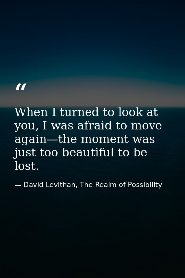 When I turned to look at you, I was afraid to move again—the moment was just too beautiful to be lost. — David Levithan, The Realm of Possibility