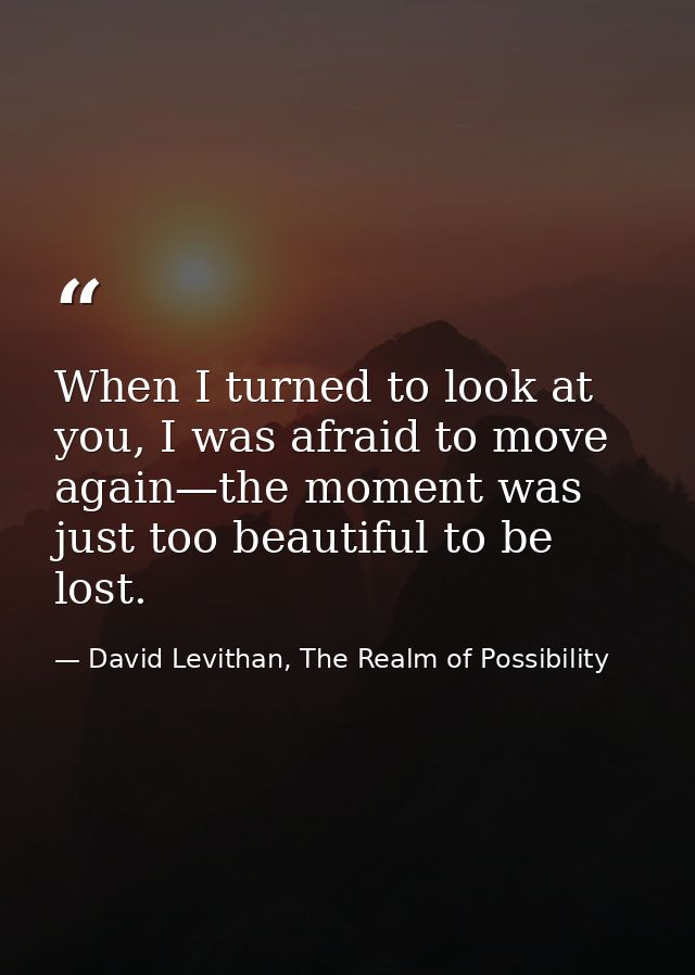 When I turned to look at you, I was afraid to move again—the moment was just too beautiful to be lost. — David Levithan, The Realm of Possibility