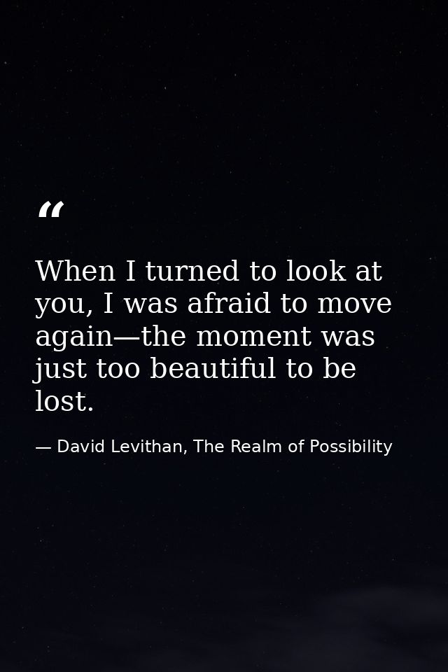 When I turned to look at you, I was afraid to move again—the moment was just too beautiful to be lost. — David Levithan, The Realm of Possibility