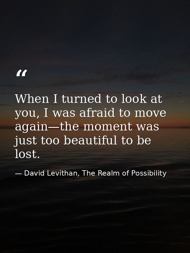 When I turned to look at you, I was afraid to move again—the moment was just too beautiful to be lost. — David Levithan, The Realm of Possibility