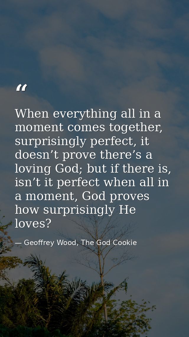 When everything all in a moment comes together, surprisingly perfect, it doesn’t prove there’s a loving God; but if ther — Geoffrey Wood, The God Cookie