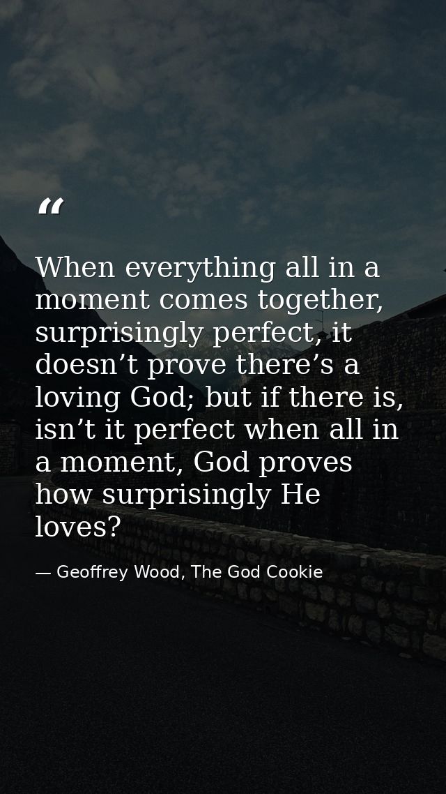 When everything all in a moment comes together, surprisingly perfect, it doesn’t prove there’s a loving God; but if ther — Geoffrey Wood, The God Cookie