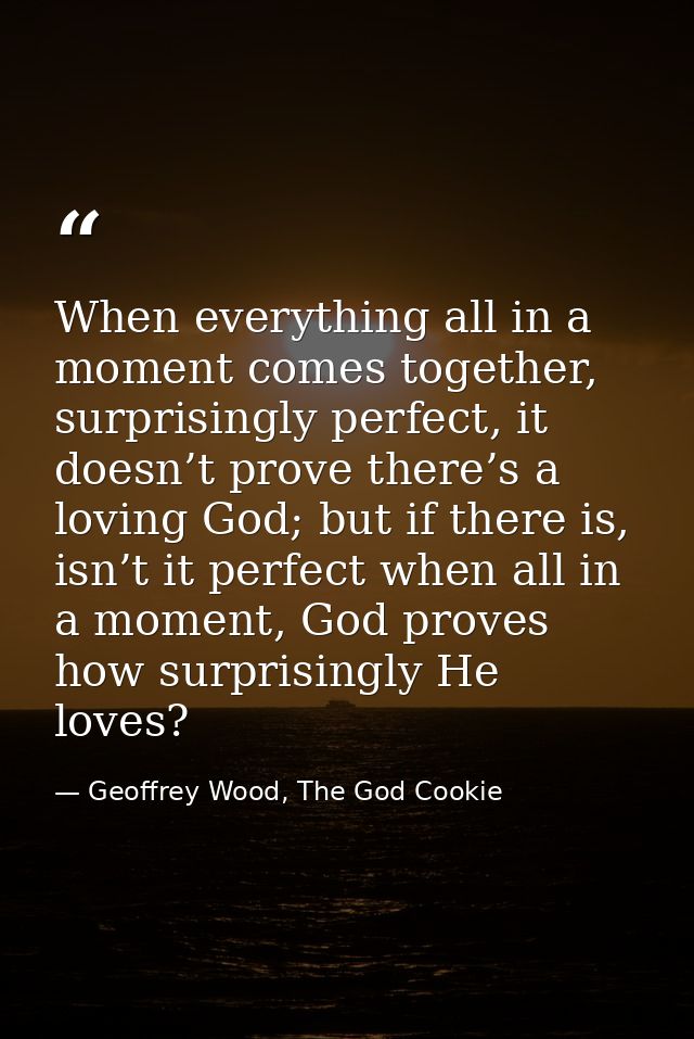 When everything all in a moment comes together, surprisingly perfect, it doesn’t prove there’s a loving God; but if ther — Geoffrey Wood, The God Cookie