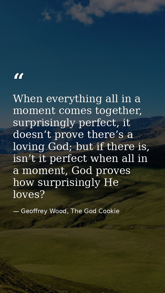 When everything all in a moment comes together, surprisingly perfect, it doesn’t prove there’s a loving God; but if ther — Geoffrey Wood, The God Cookie