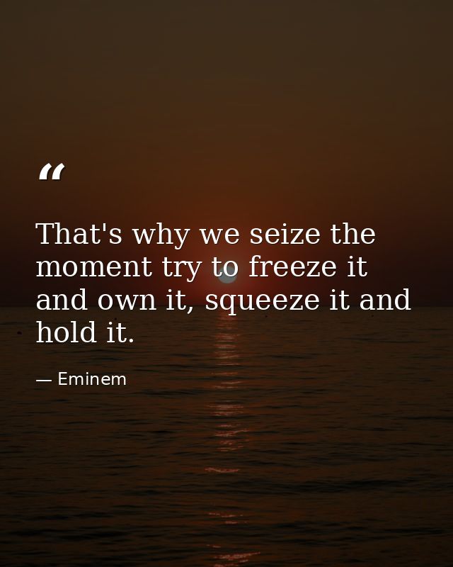 That's why we seize the moment try to freeze it and own it, squeeze it and hold it. — Eminem