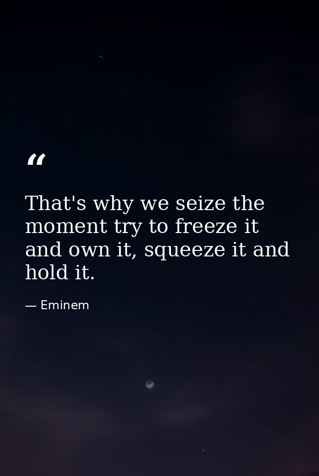 That's why we seize the moment try to freeze it and own it, squeeze it and hold it. — Eminem