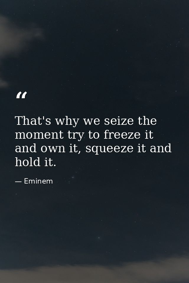 That's why we seize the moment try to freeze it and own it, squeeze it and hold it. — Eminem