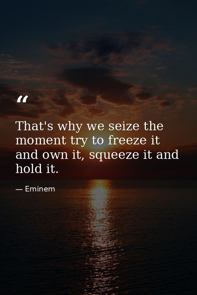 That's why we seize the moment try to freeze it and own it, squeeze it and hold it. — Eminem
