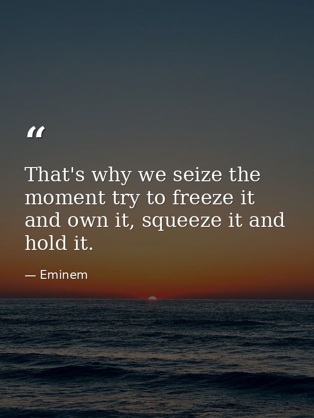 That's why we seize the moment try to freeze it and own it, squeeze it and hold it. — Eminem