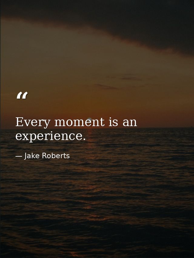 Every moment is an experience. — Jake Roberts