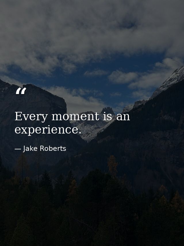 Every moment is an experience. — Jake Roberts