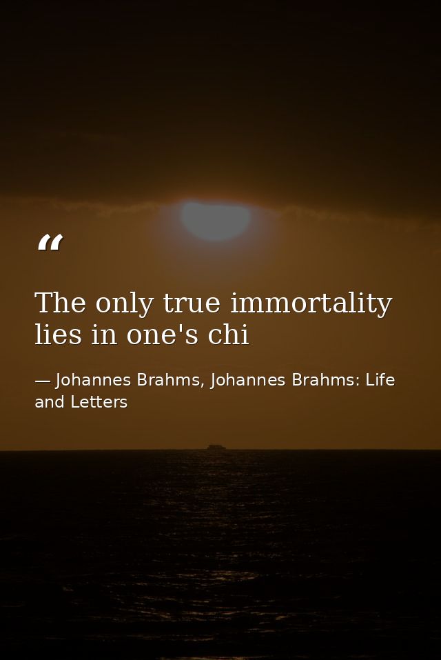 The only true immortality lies in one's chi — Johannes Brahms, Johannes Brahms: Life and Letters