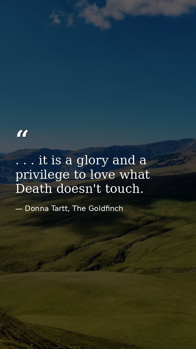 . . . it is a glory and a privilege to love what Death doesn't touch. — Donna Tartt, The Goldfinch