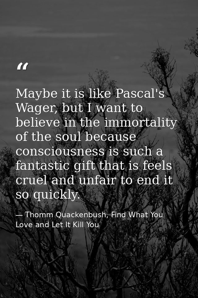 Maybe it is like Pascal's Wager, but I want to believe in the immortality of the soul because consciousness is such a fa — Thomm Quackenbush, Find What You Love and Let It Kill You