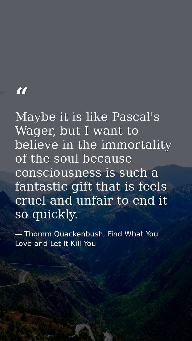 Maybe it is like Pascal's Wager, but I want to believe in the immortality of the soul because consciousness is such a fa — Thomm Quackenbush, Find What You Love and Let It Kill You