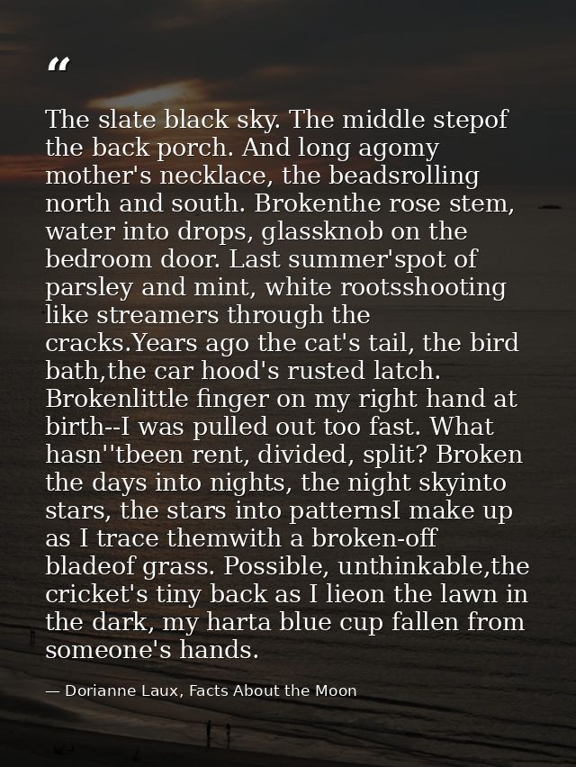 The slate black sky. The middle stepof the back porch. And long agomy mother's necklace, the beadsrolling north and sout — Dorianne Laux, Facts About the Moon